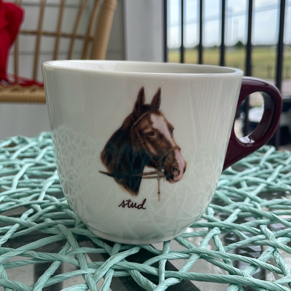 Fishs Eddy “Stud” Mug